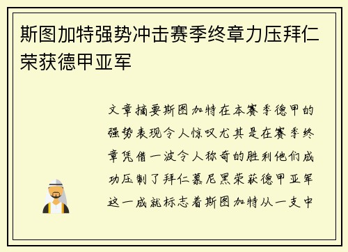 斯图加特强势冲击赛季终章力压拜仁荣获德甲亚军